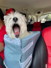 Load image into Gallery viewer, Pet Car Booster Seat (Tiffany Green)