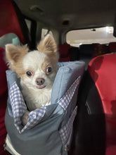 Load image into Gallery viewer, Pet Car Booster Seat (Tiffany Green)