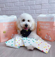 Load image into Gallery viewer, Ez Care Disposable Pet Pads/ Training Pads For Furry Kids (Green Heart)